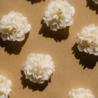 Projekt bez nazwy (26)