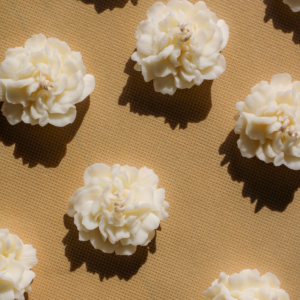 Projekt bez nazwy (26)