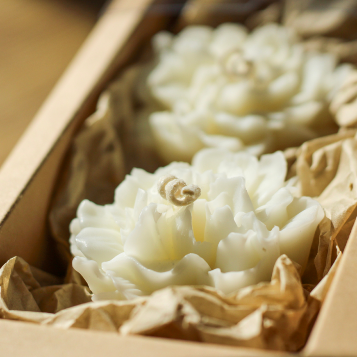 Projekt bez nazwy (27)