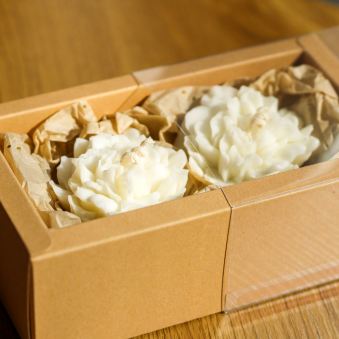 Projekt bez nazwy (28)