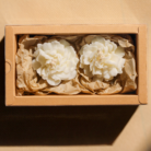 Projekt bez nazwy (29)