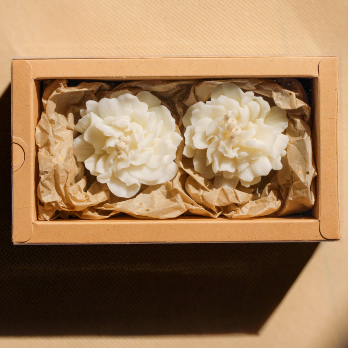 Projekt bez nazwy (29)