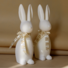 Projekt bez nazwy (30)